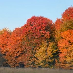 Meet your Posher, Sunshine